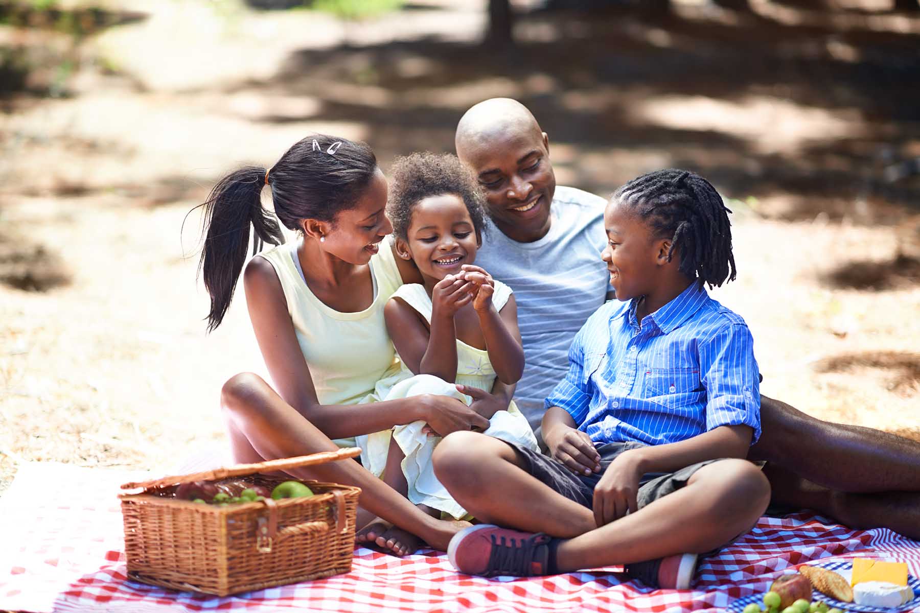 Family Picnicking Together
